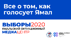 Выборы 2020