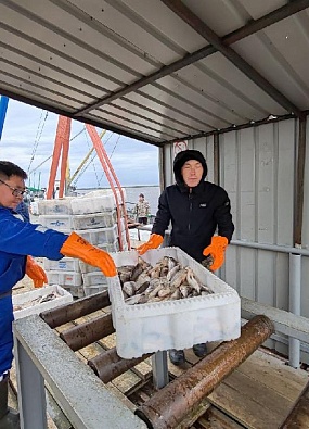 Рыбаки Приуралья справляются с планом 