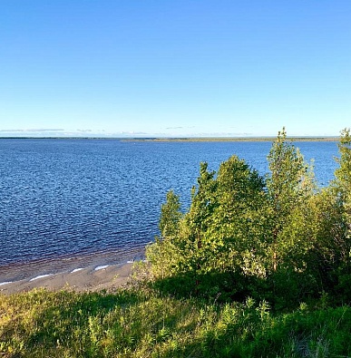 В реках Ямала уровень воды находится на опасно низком уровне