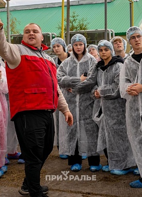 Ямальцы прогуляли школу в коровнике 