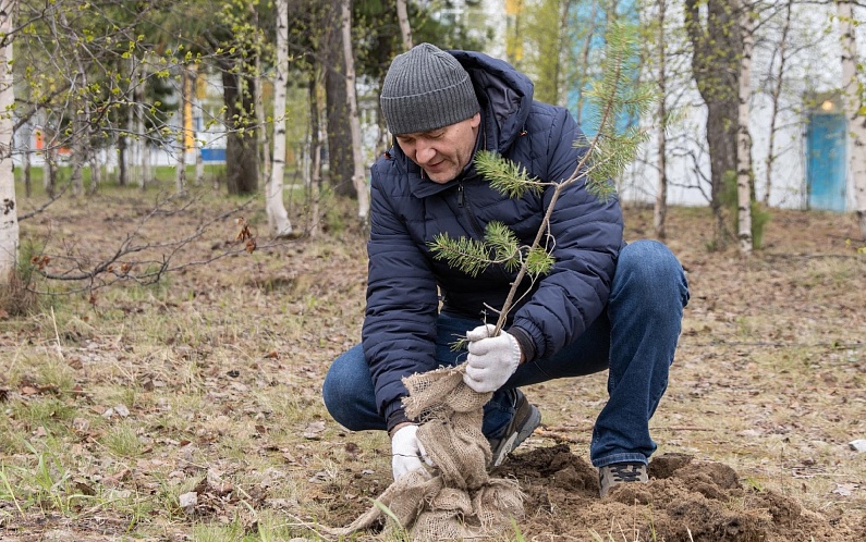 Уральские учёные разработали правила озеленения ямальских городов и посёлков