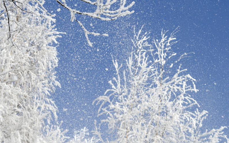 В Приуралье ожидается похолодание и снег
