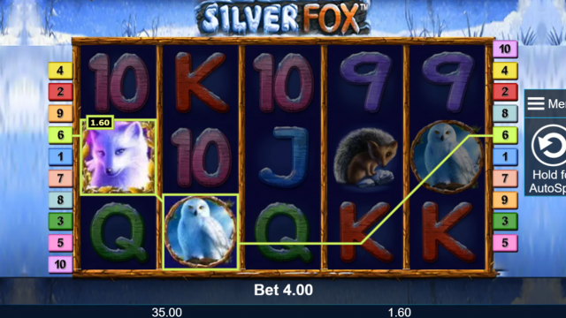 Silver Fox 7