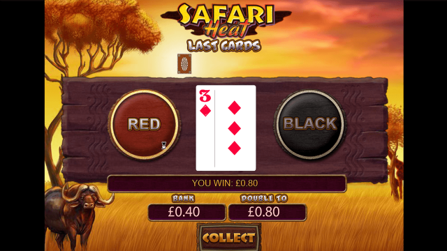Safari Heat 6